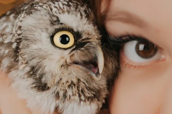 CasinoCasino Casino Ondersteuning